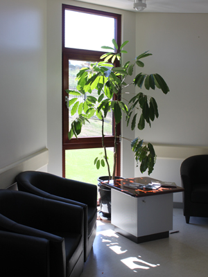 Tilt-and-turn-and-fixed-window-internal